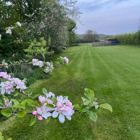 Gorgeous Countryside Cabin Lyminge Екстер'єр фото